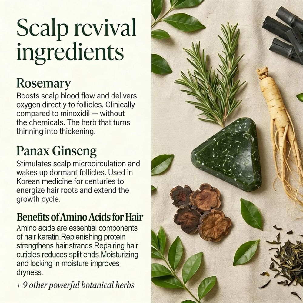 Rosemary Amino Acid Korean Sca - Hair Care Korean recensione e prezzo