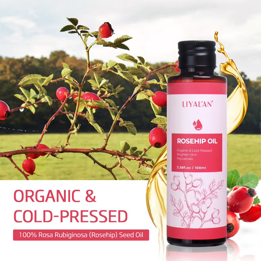 100ml Rosehip Oil Brighten Fir - Hair Care Essence Oil recensione e prezzo